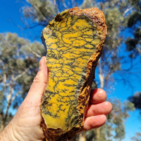 Dendritic Opal  rough.  DOR 186