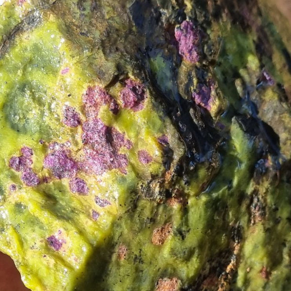 Rough Stichtite in Serpentine (Atlantisite) STR115