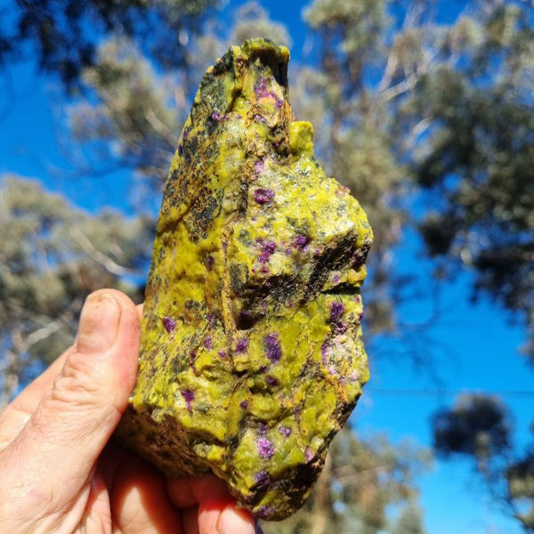 Rough Stichtite in Serpentine (Atlantisite) STR114