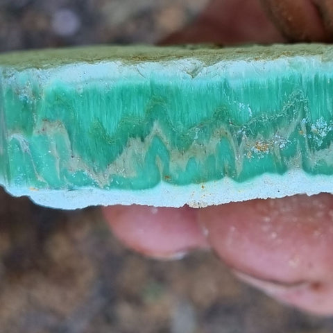 Variscite rough. VR429