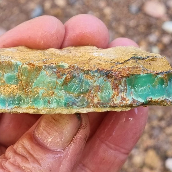 Variscite rough. VR432