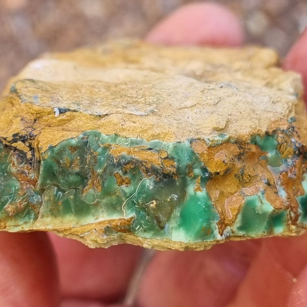 Variscite rough. VR432