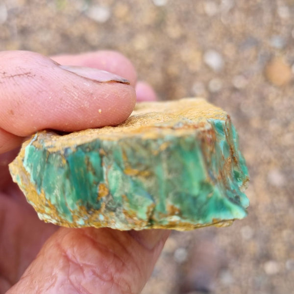 Variscite rough. VR432