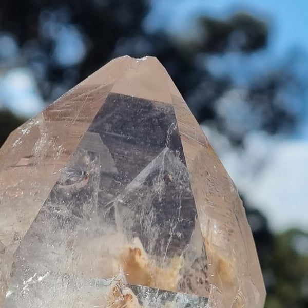 West Australian Quartz crystal . XL101