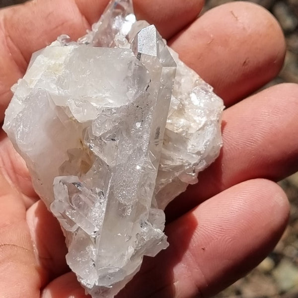 West Australian Quartz crystal cluster. XL104