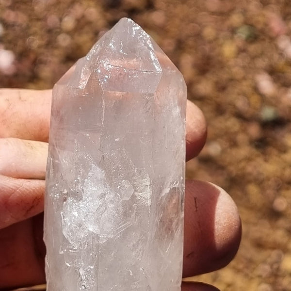West Australian Quartz crystal . XL103