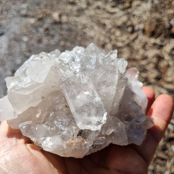 West Australian Quartz crystal cluster. XL105