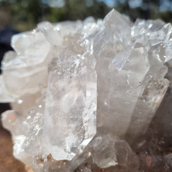 West Australian Quartz crystal cluster. XL105