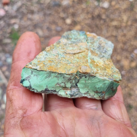 Variscite rough. VR434