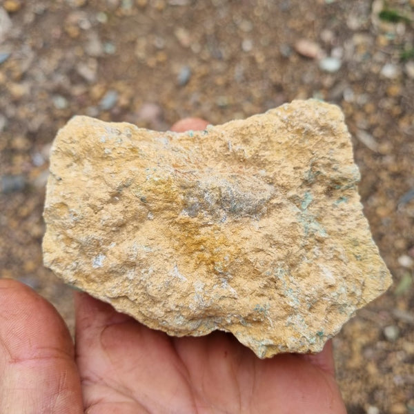 Variscite rough. VR435