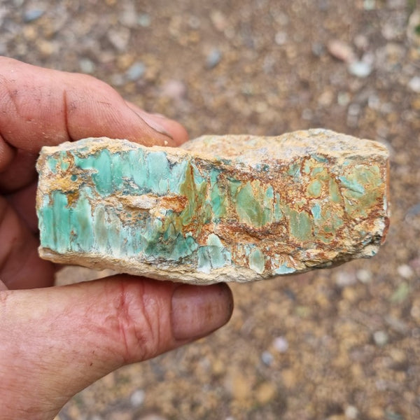 Variscite rough. VR435