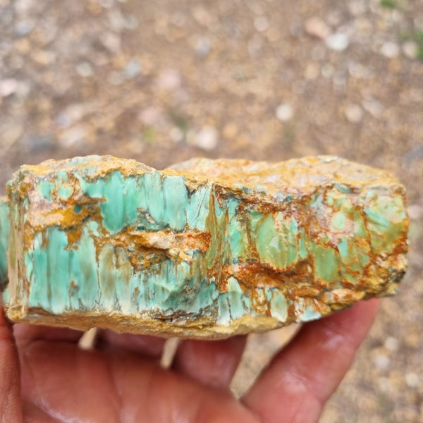 Variscite rough. VR435