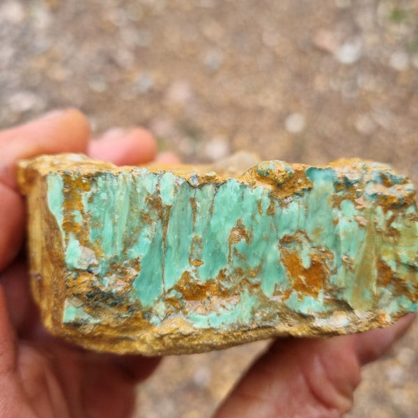 Variscite rough. VR435