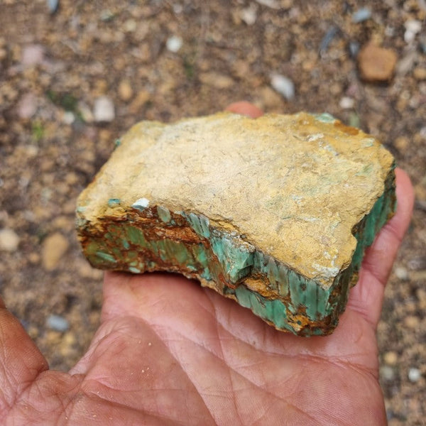 Variscite rough. VR435