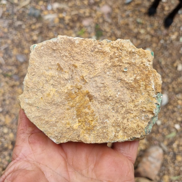 Variscite rough. VR437