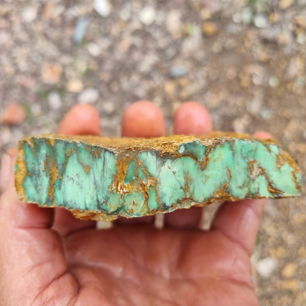 Variscite rough. VR437