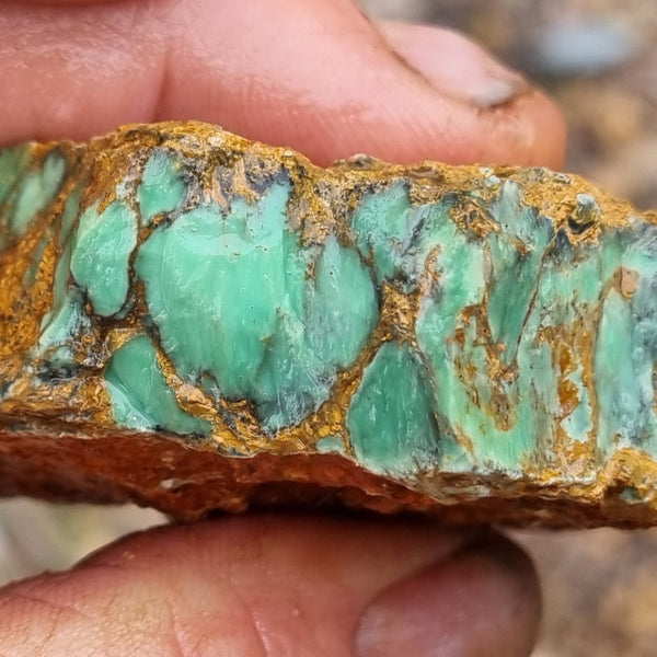 Variscite rough. VR437