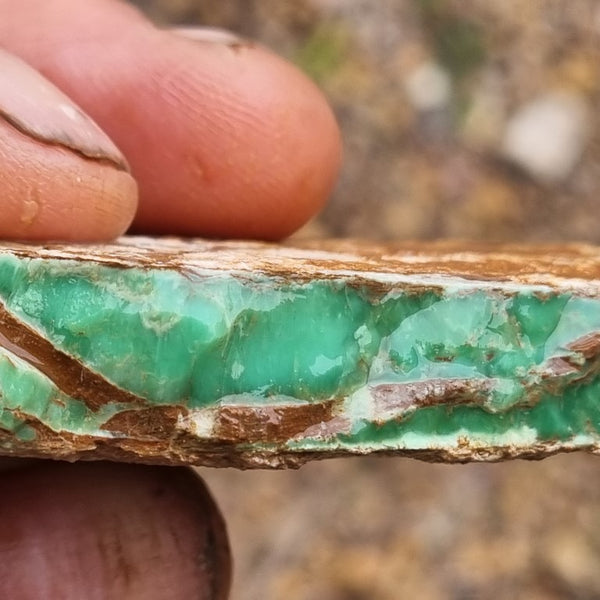 Variscite rough. VR438