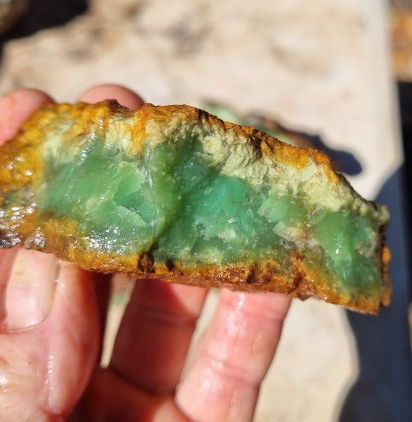 Chrysoprase rough.  CHR 169