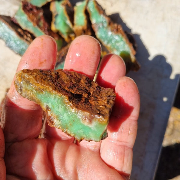 Chrysoprase rough.  CHR 169