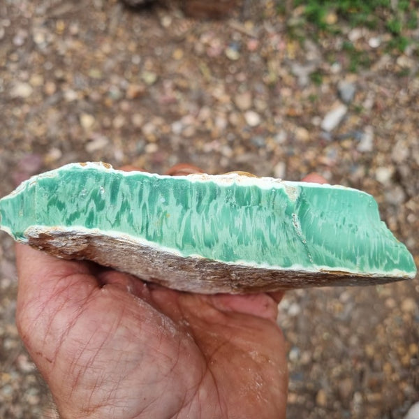 Variscite rough. VR443