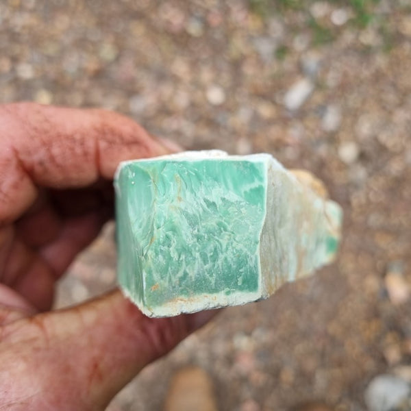 Variscite rough. VR443