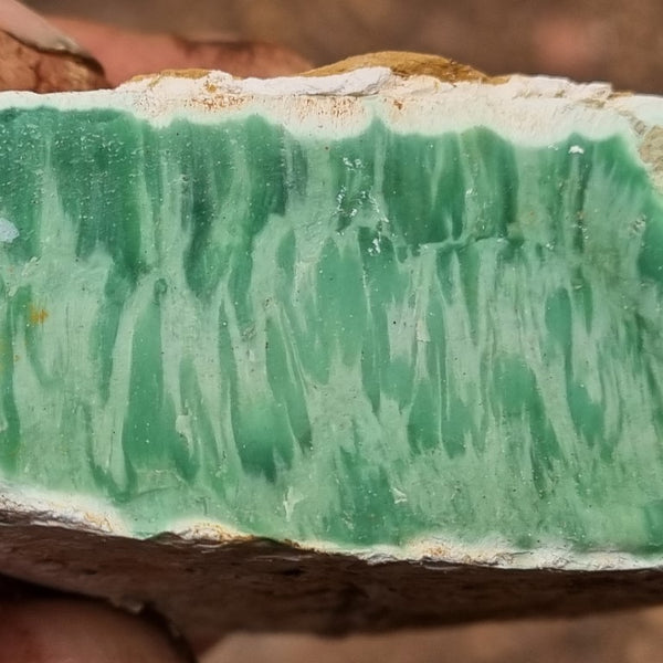 Variscite rough. VR443