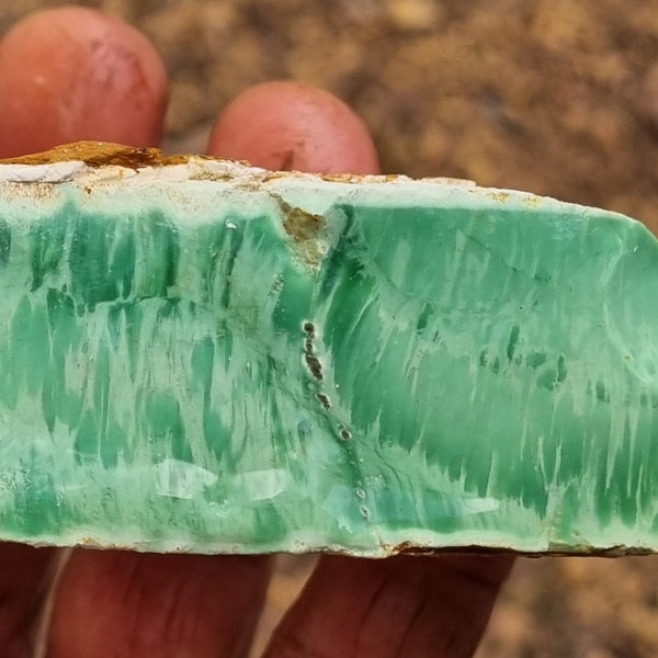 Variscite rough. VR443