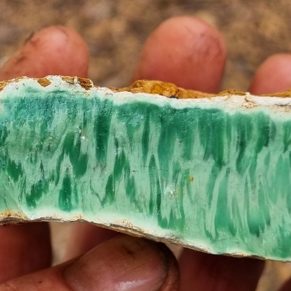 Variscite rough. VR443