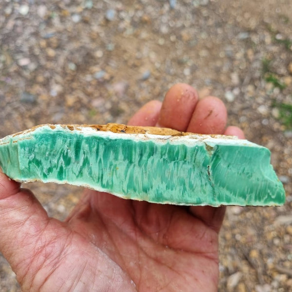 Variscite rough. VR443