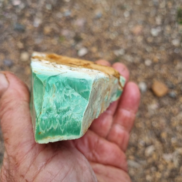 Variscite rough. VR443