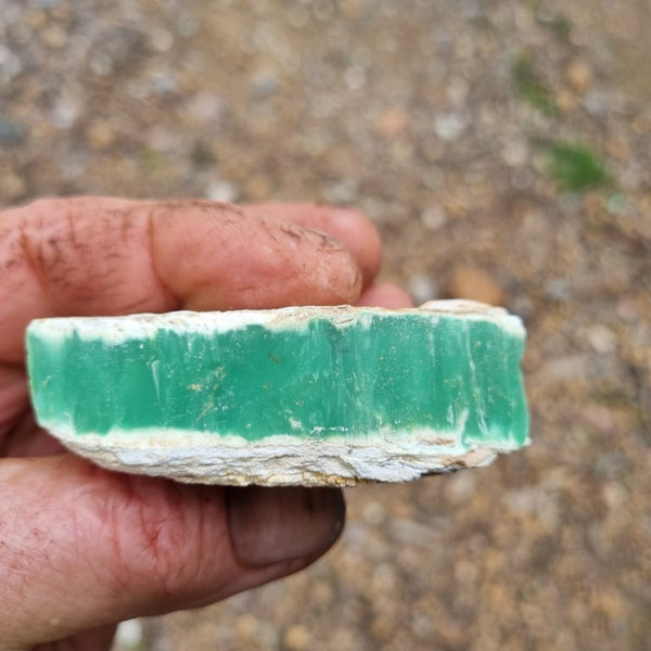 Variscite rough. VR444