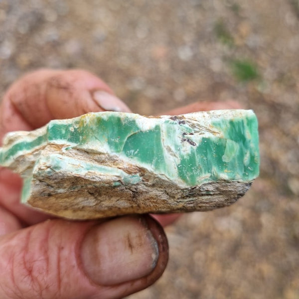 Variscite rough. VR444