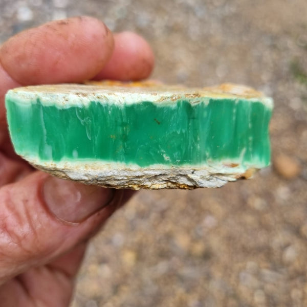 Variscite rough. VR444