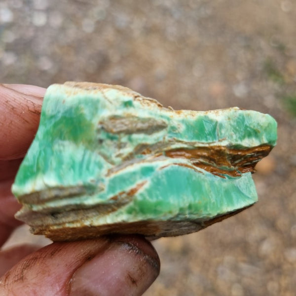 Variscite rough. VR444