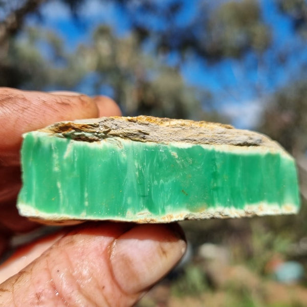 Variscite rough. VR444