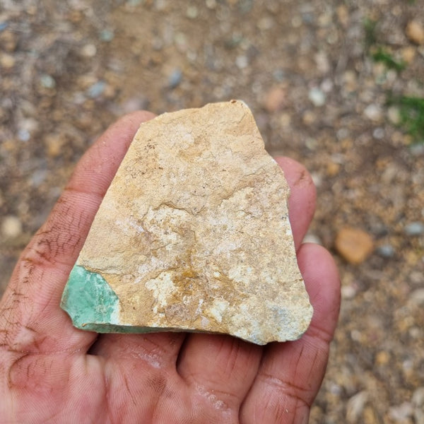 Variscite rough. VR445