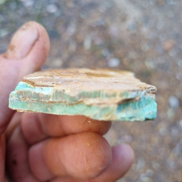 Variscite rough. VR447