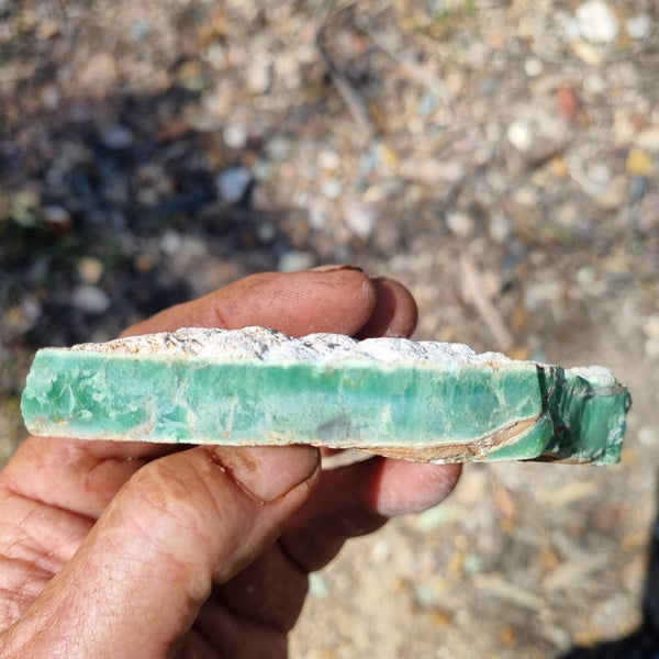 Variscite rough. VR451