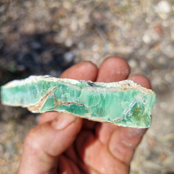 Variscite rough. VR451