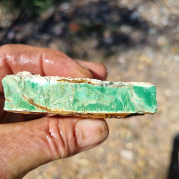 Variscite rough. VR451