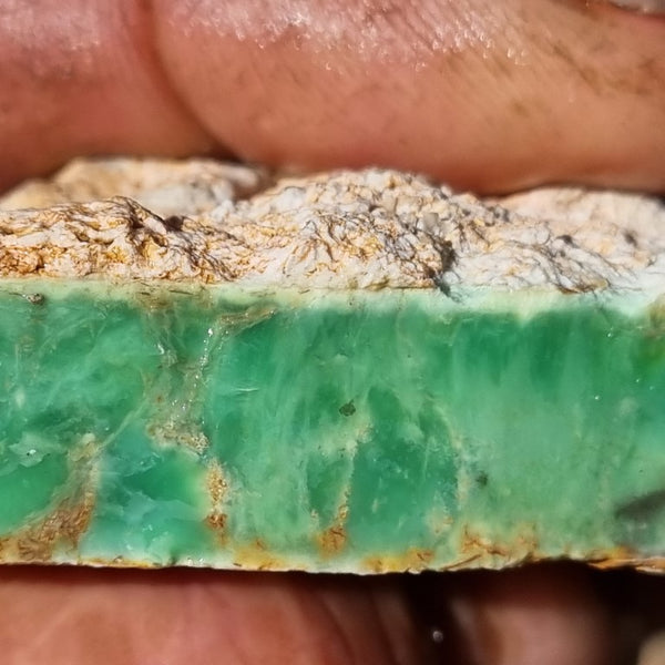 Variscite rough. VR451