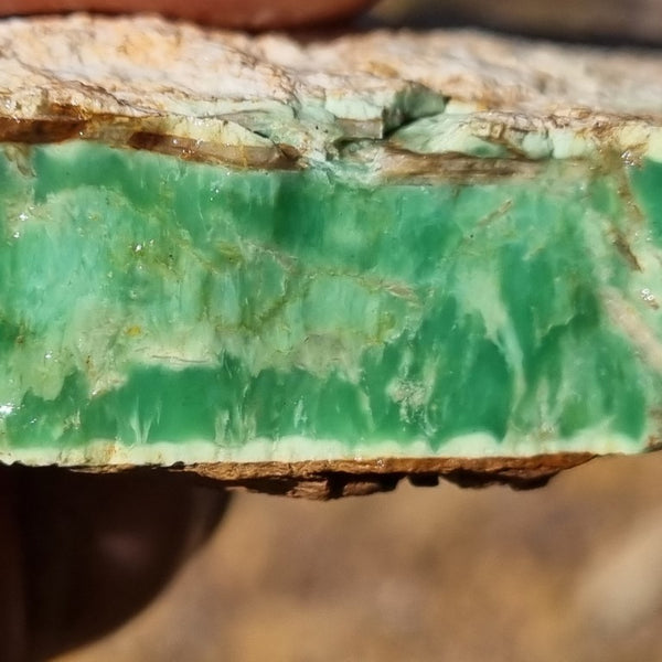 Variscite rough. VR451