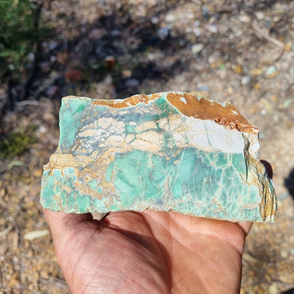 Variscite rough. VR453