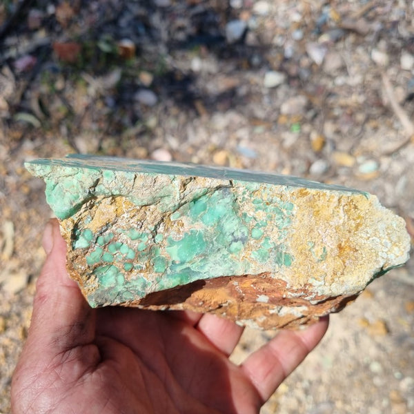 Variscite rough. VR453