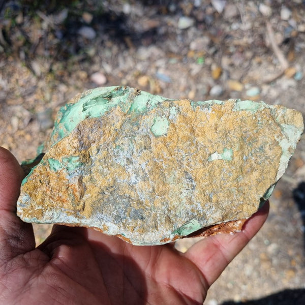 Variscite rough. VR453