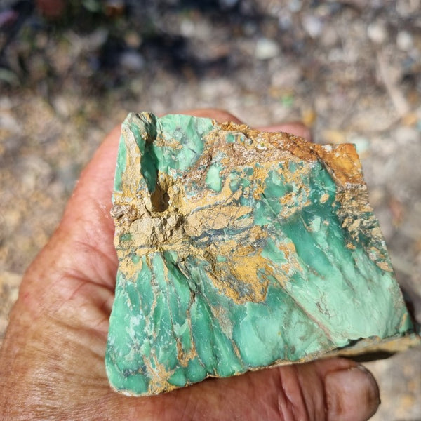 Variscite rough. VR453