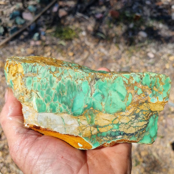 Variscite rough. VR453