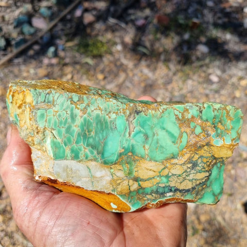 Variscite rough. VR453