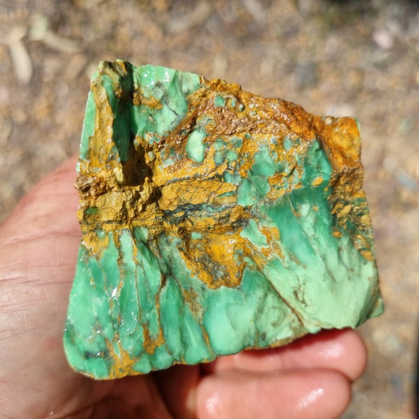 Variscite rough. VR453